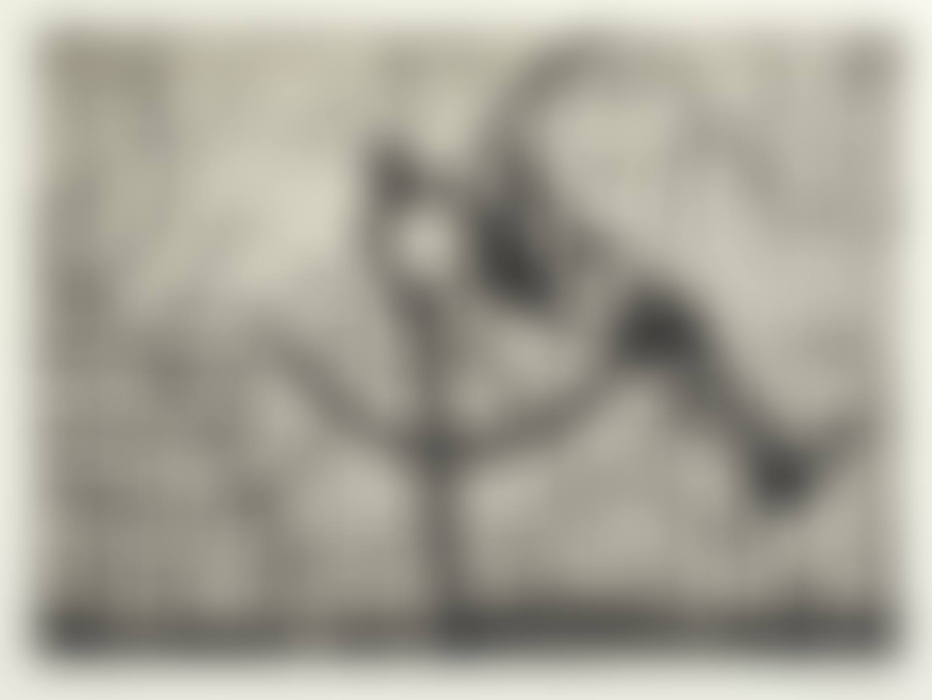 Zeno II: Prosthetic Leg (preview)