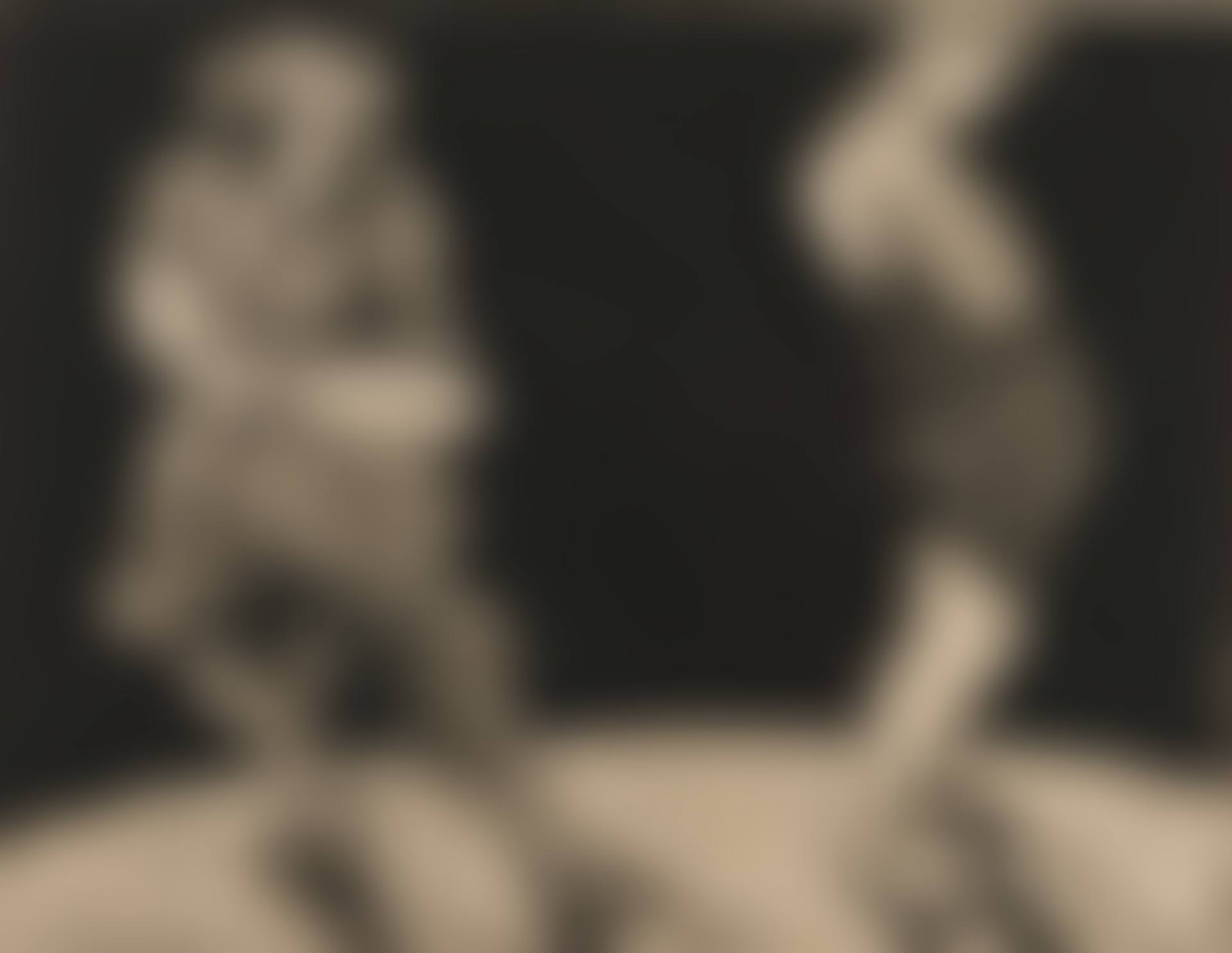 Domestic Scenes II (preview)