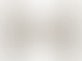 Four Chinese pith paintings (preview)