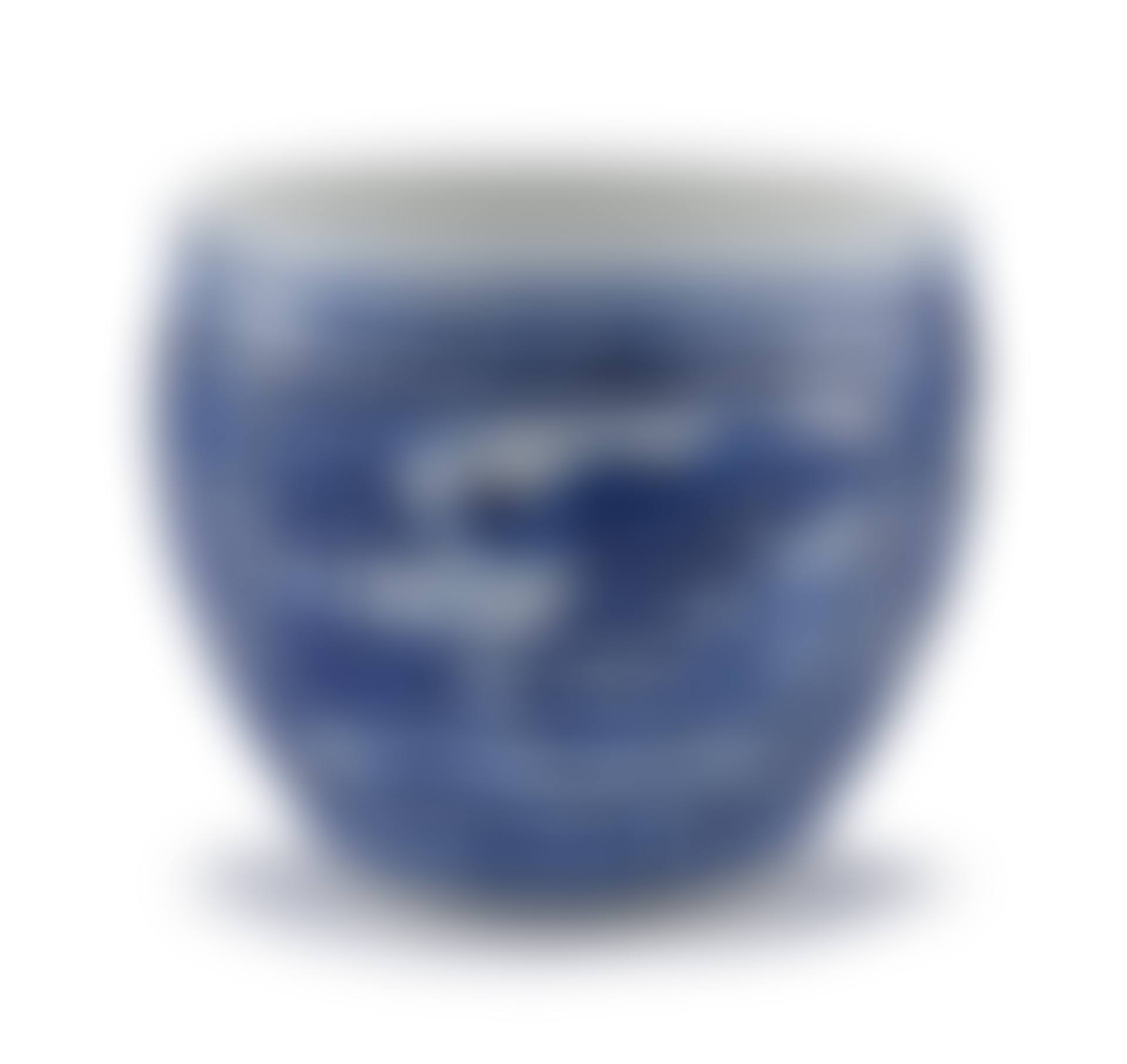 A Chinese blue and white jardinière (preview)