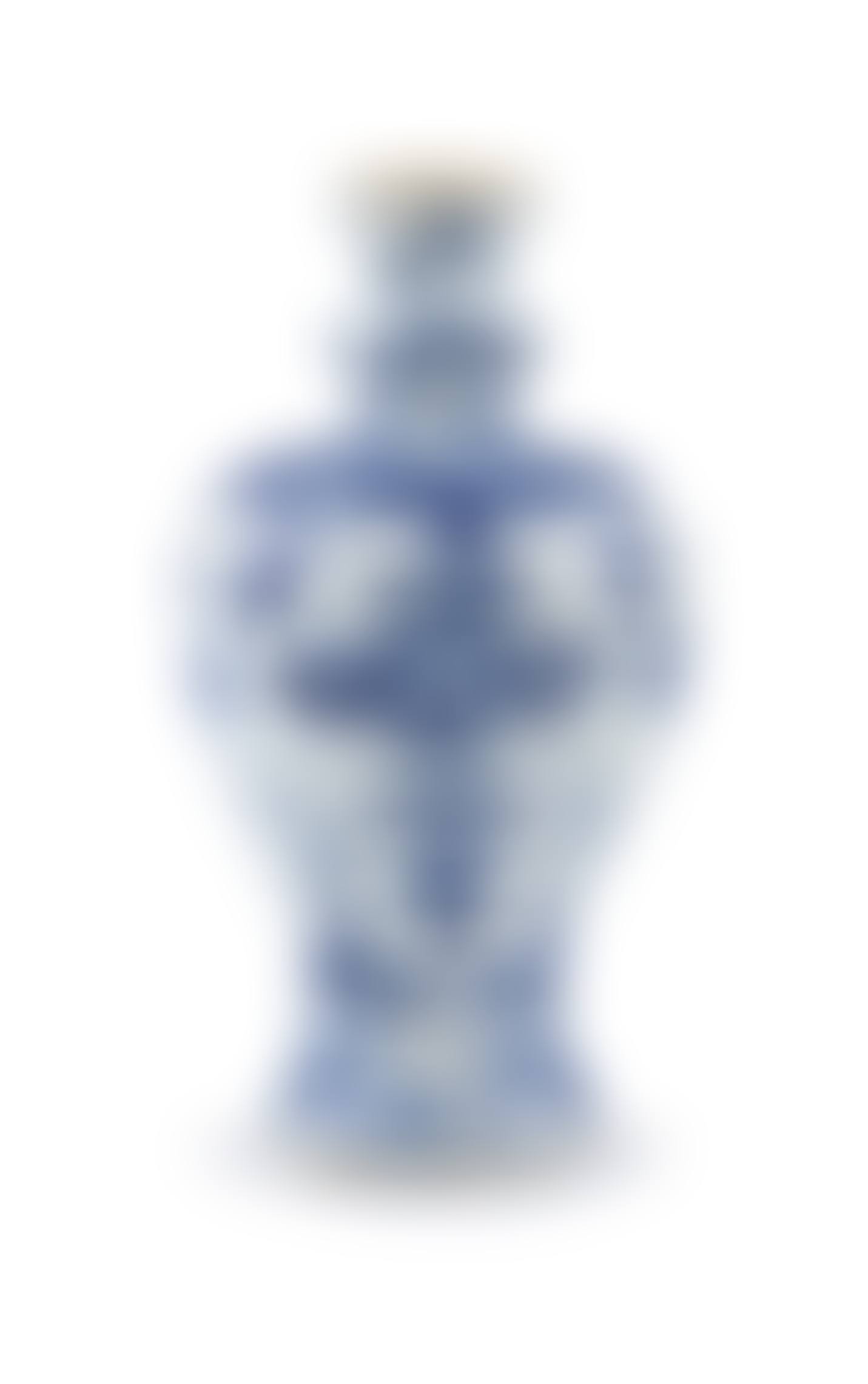 A Chinese blue and white vase (preview)