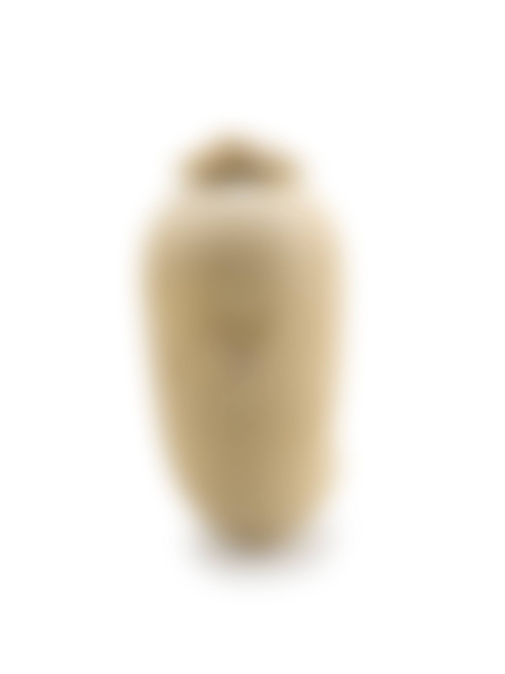 A Chinese ivory snuff bottle (preview)