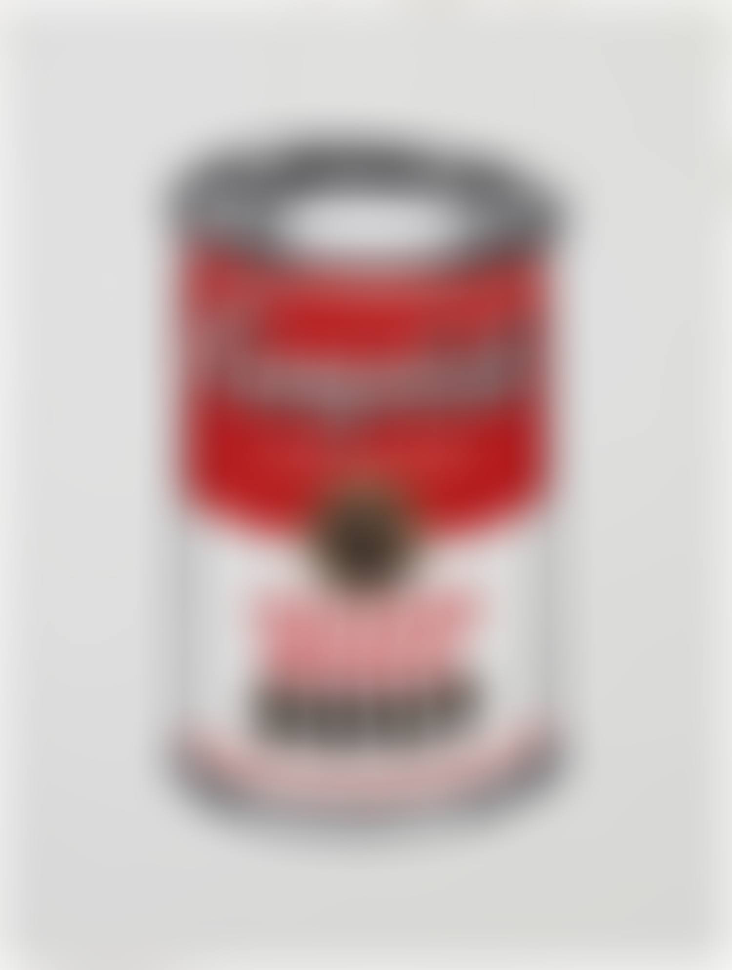 Chicken Noodle Soup from Andy Warhol, "Campbell"s Soup Cans," (preview)