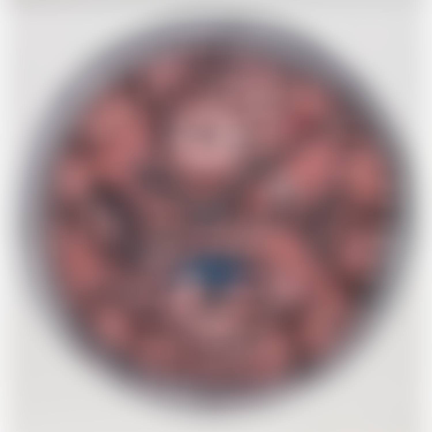 Untitled_P5 (preview)