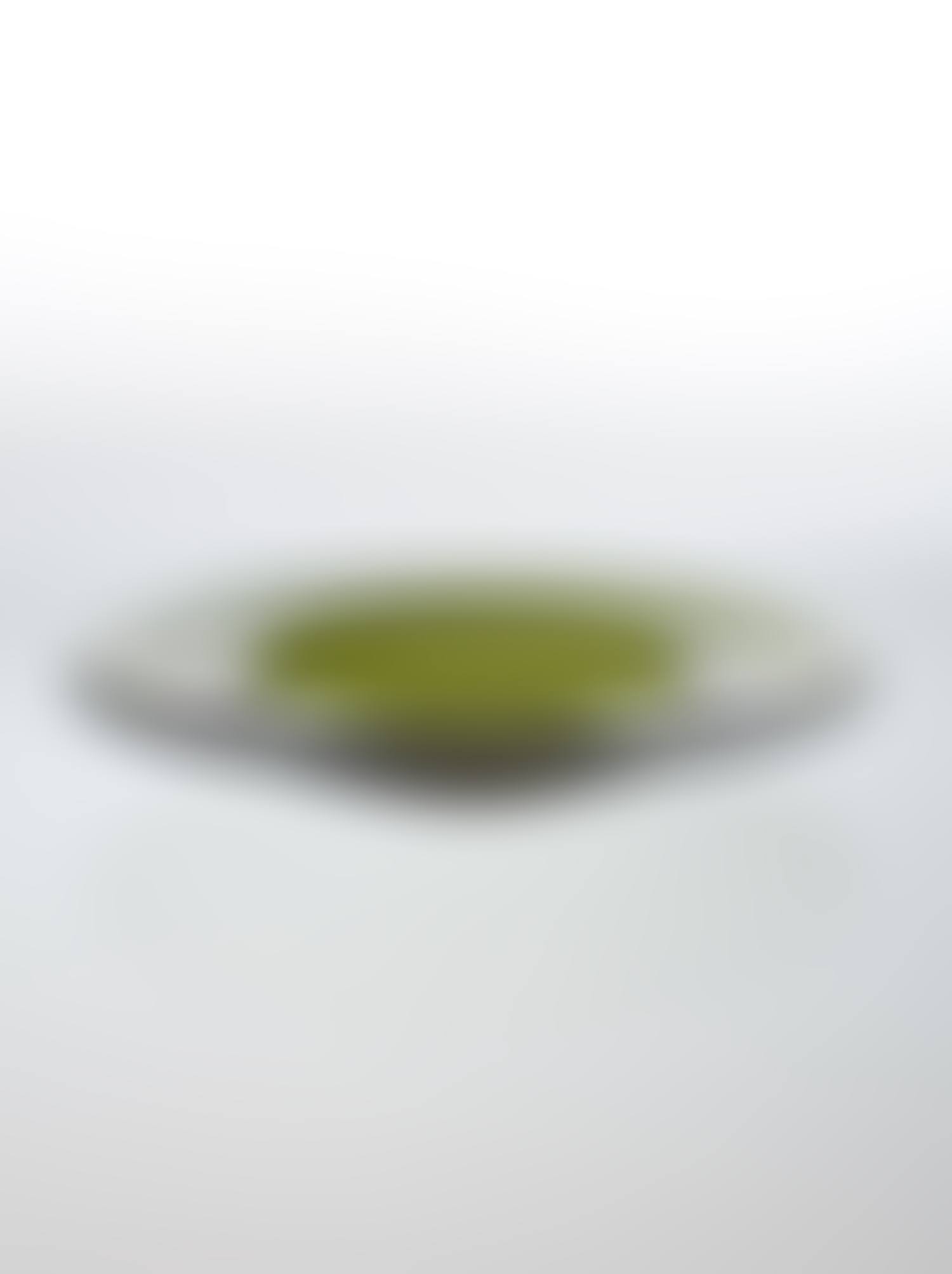 Plate (preview)