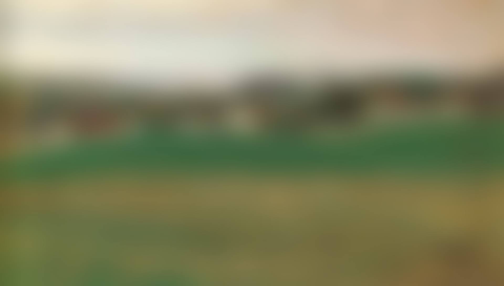 Wiese mit Dorf im Hintergrund II (preview)