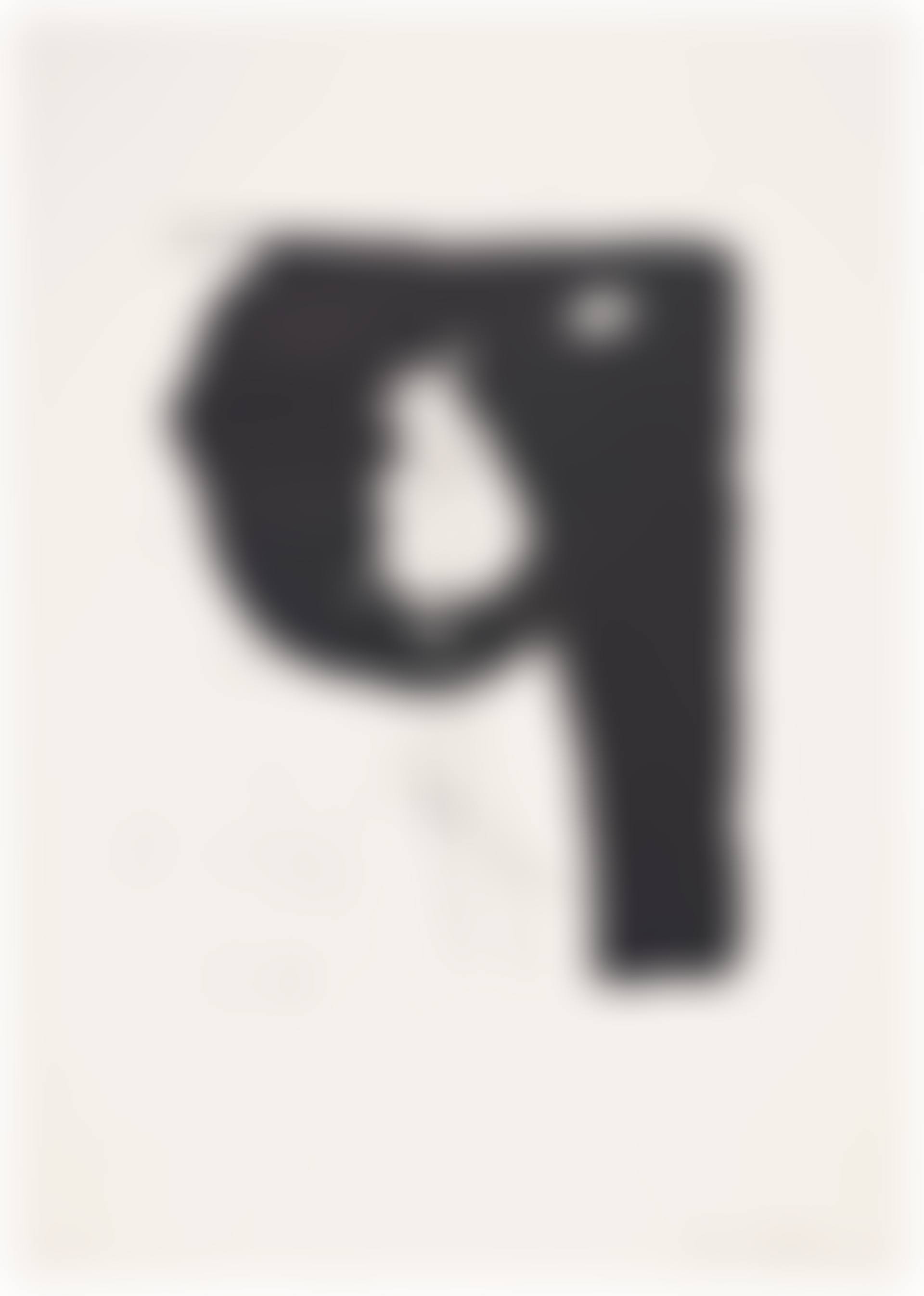 Poet II (preview)