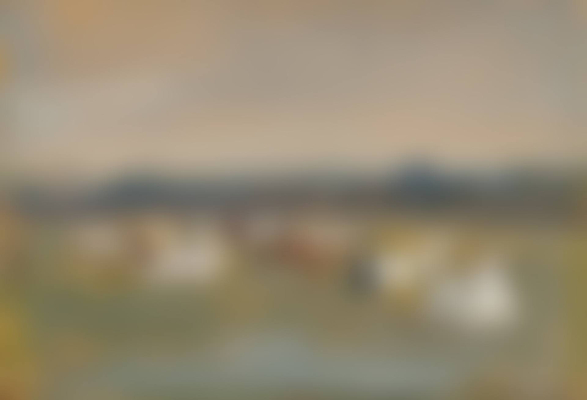 Cattle at Thorington Street (preview)