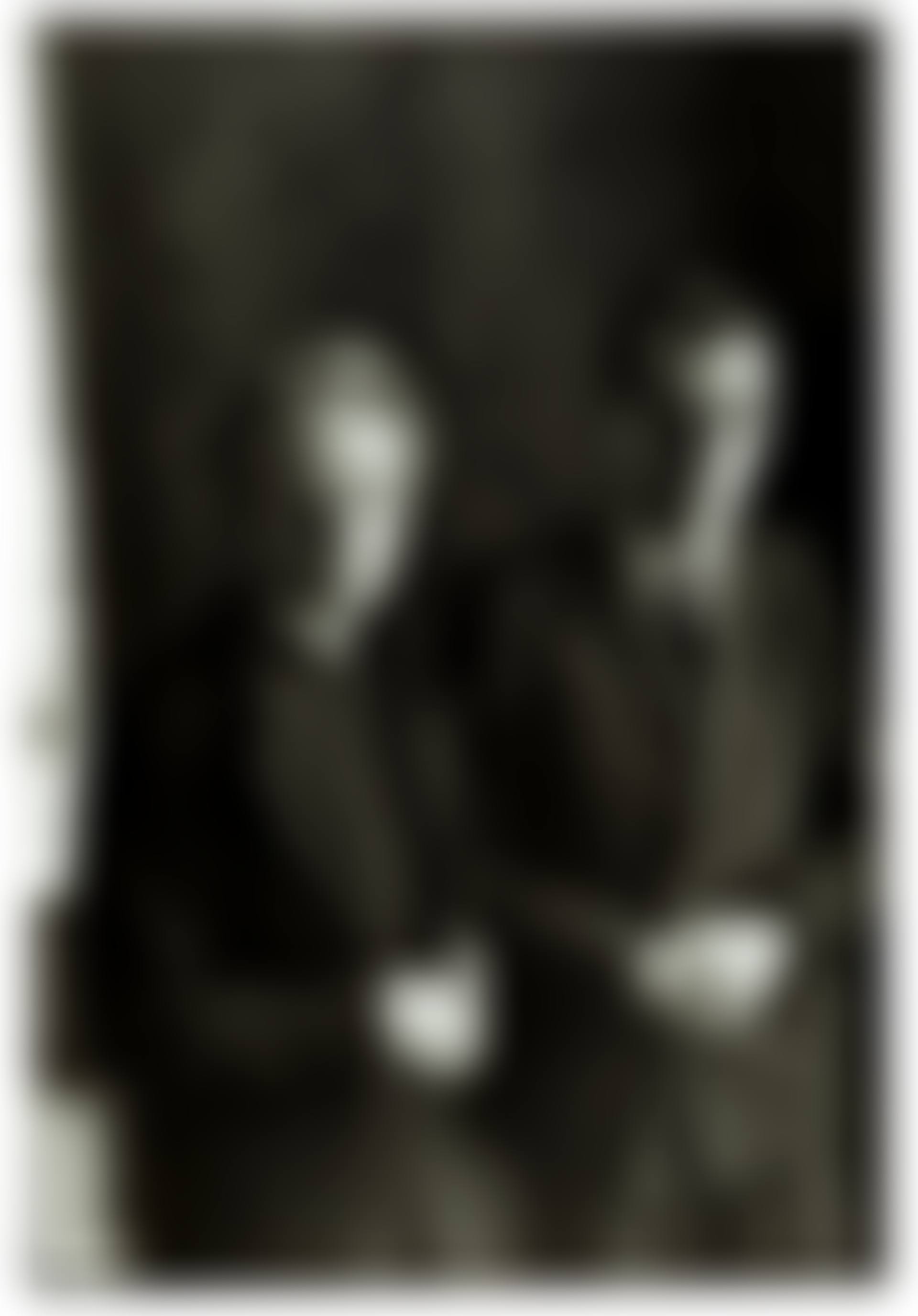 Irène Joliot-Curie, Frédéric Joliot-Curie, Paris (preview)