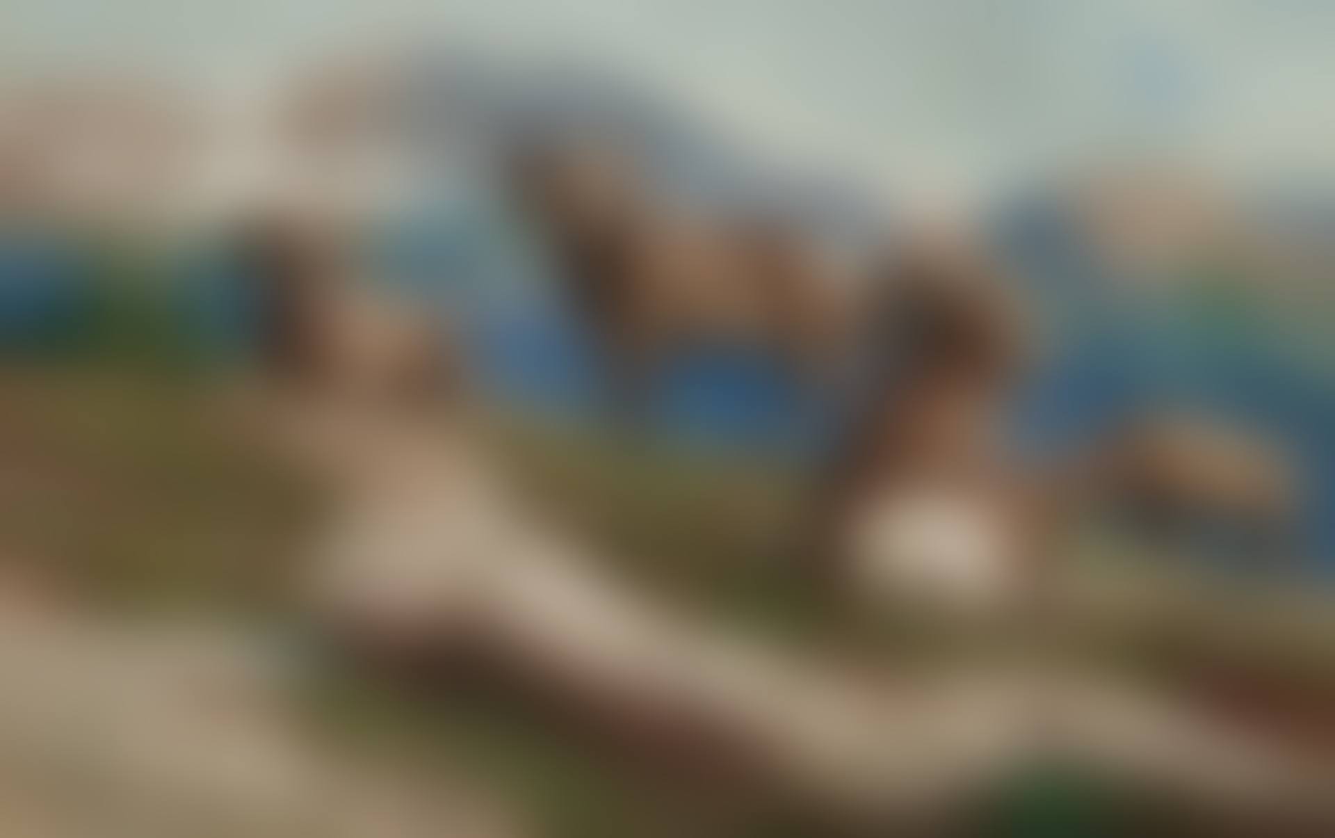 A Gathering of Elders (preview)