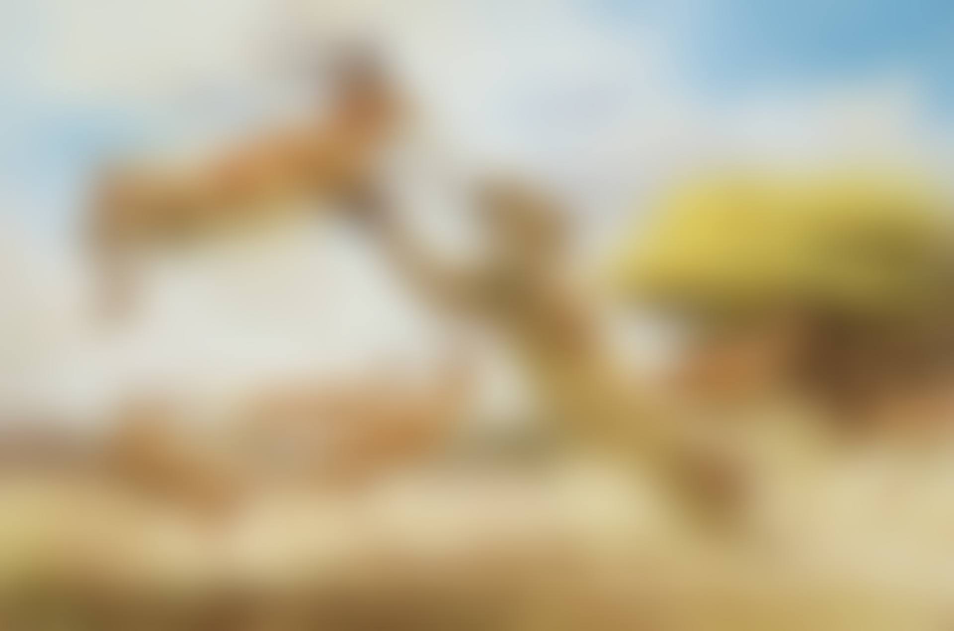 Hit and Miss (preview)