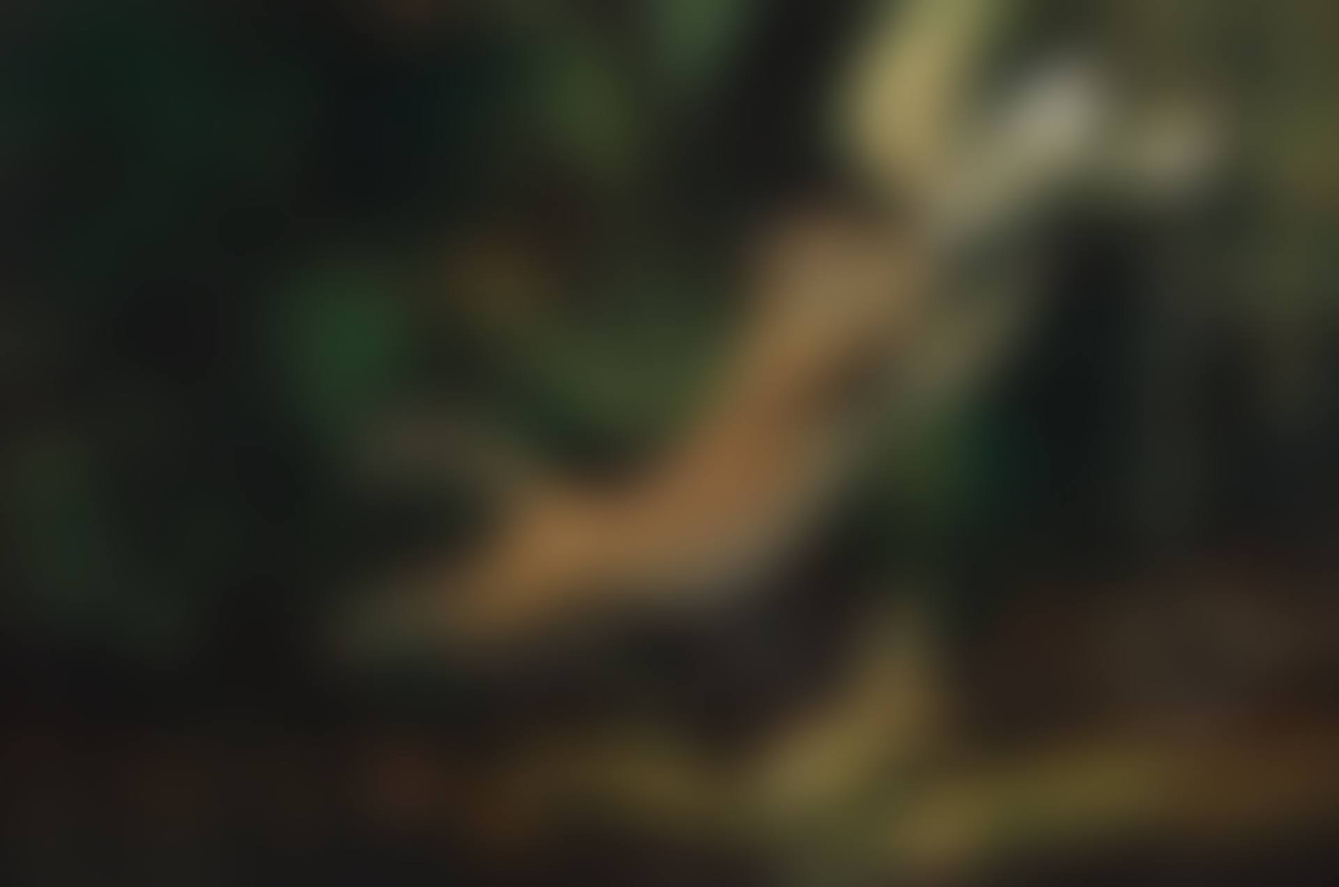 Not This Time (preview)