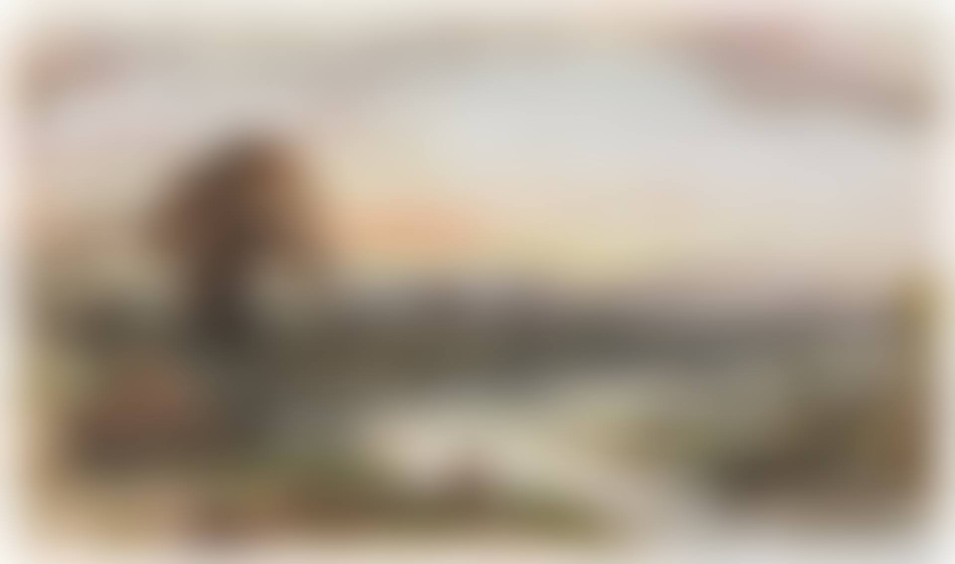 An angler by a river at sunset (preview)