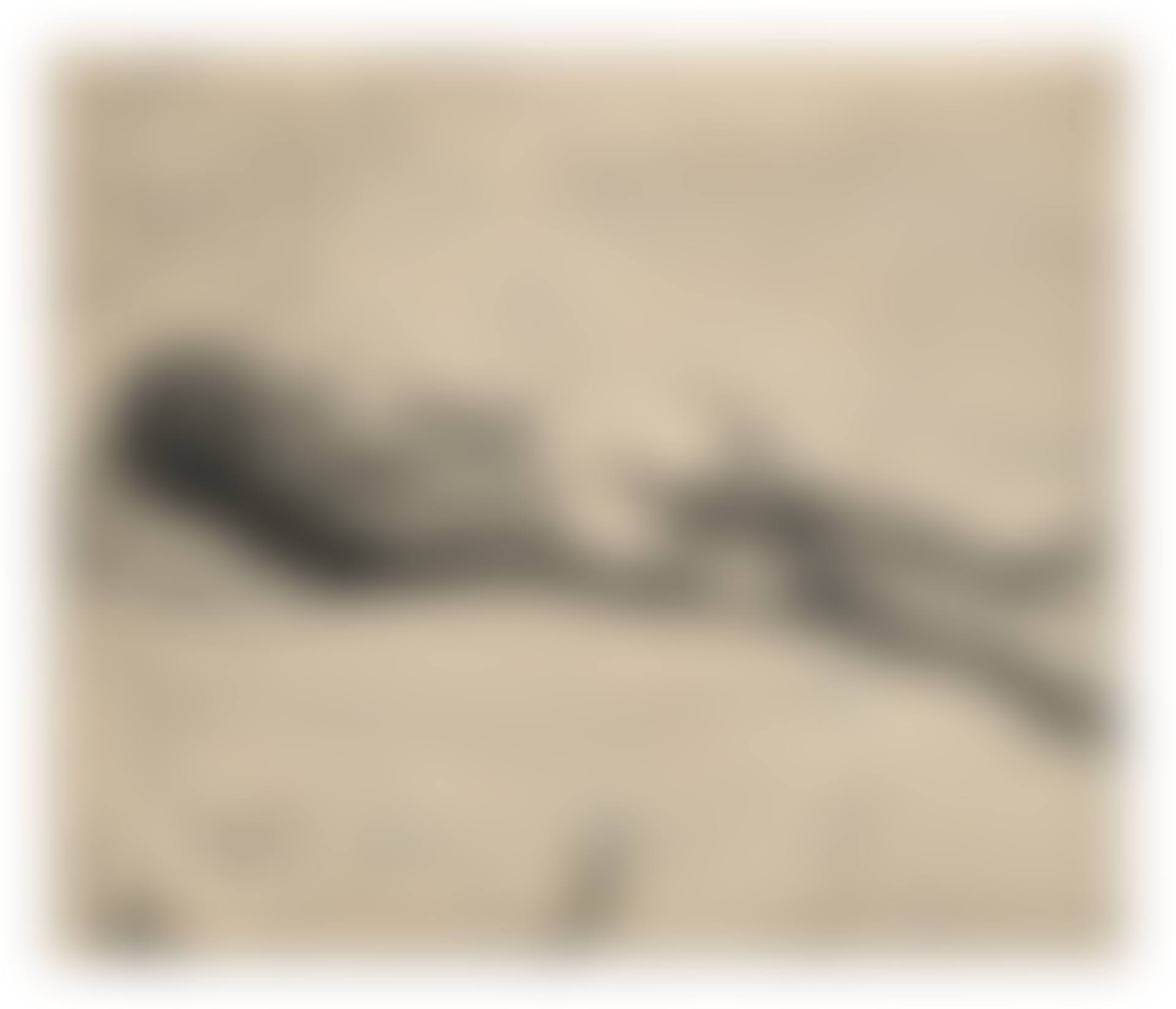 Sans titre (preview)