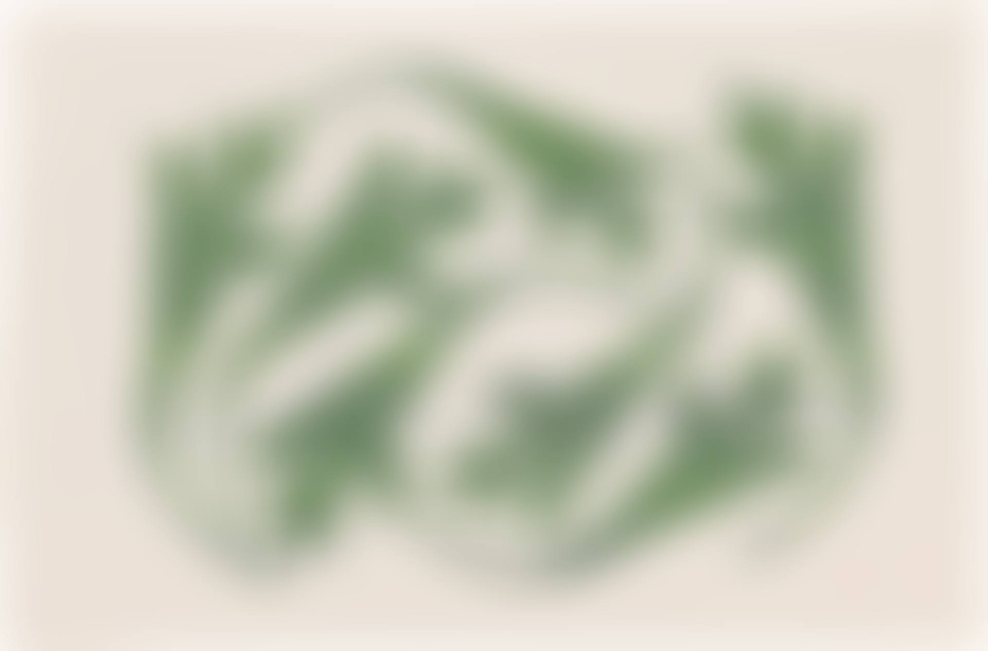 Extinct Leaf Page (preview)