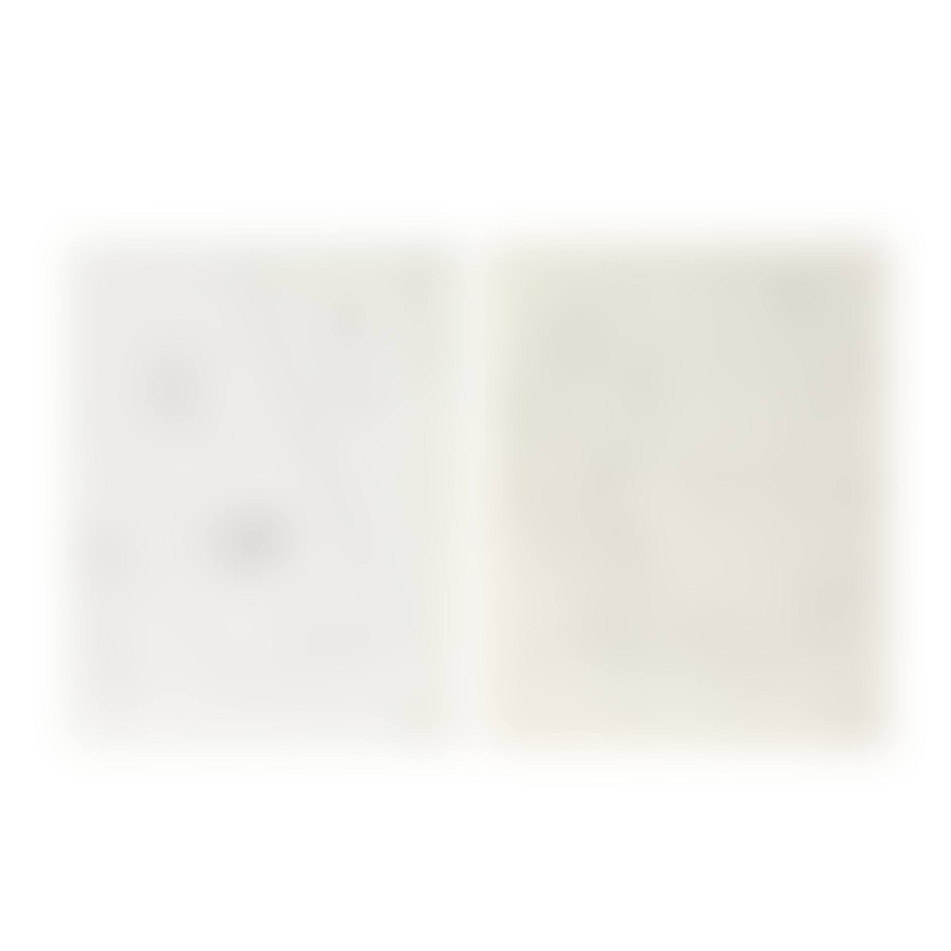 Journal d"un graveur (preview)