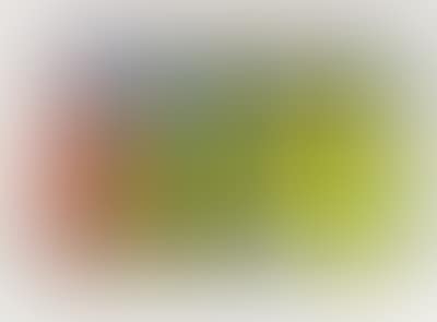 Look at it on a rainy day (preview)