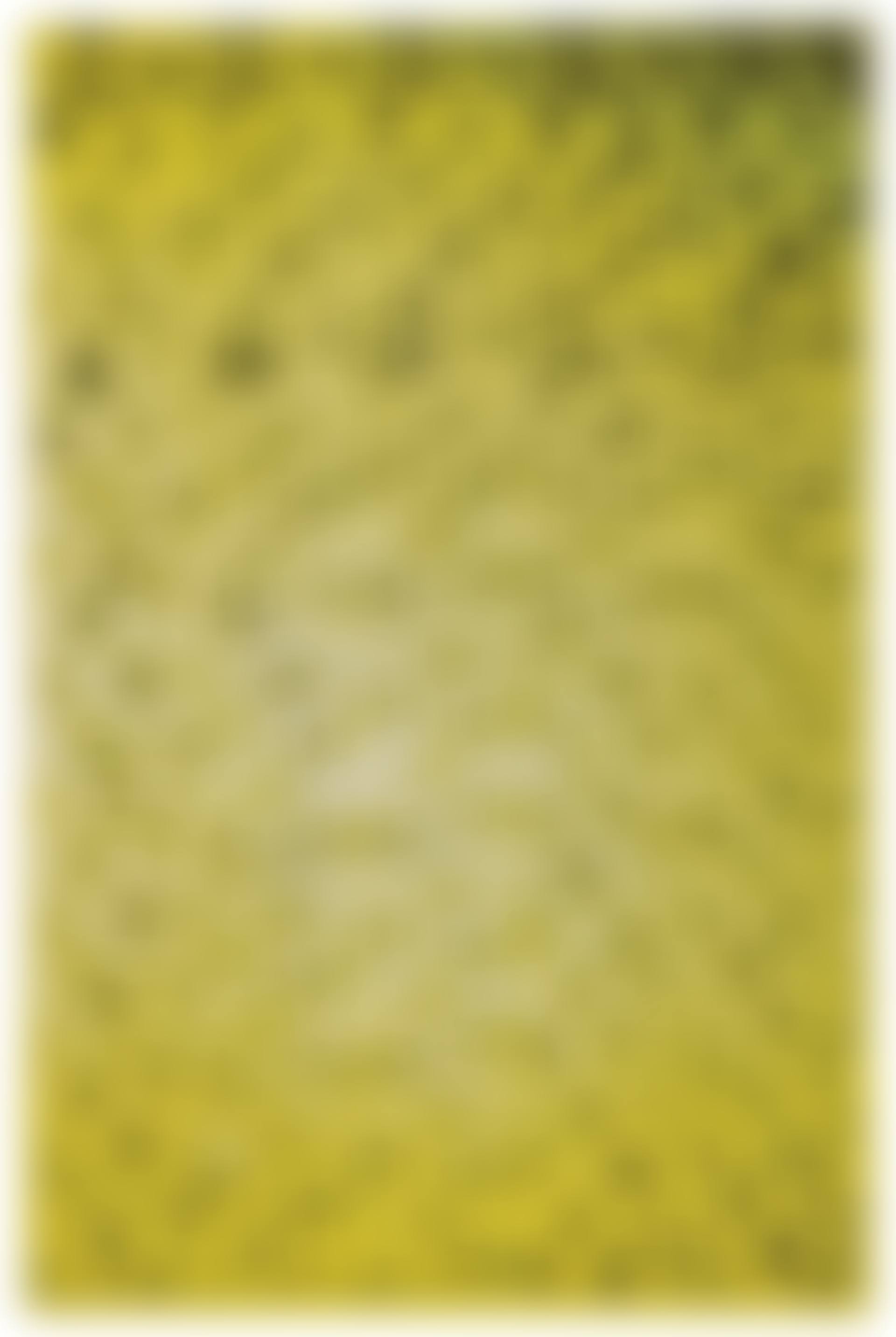 Untitled (Kölnischer Kunstverein) (preview)