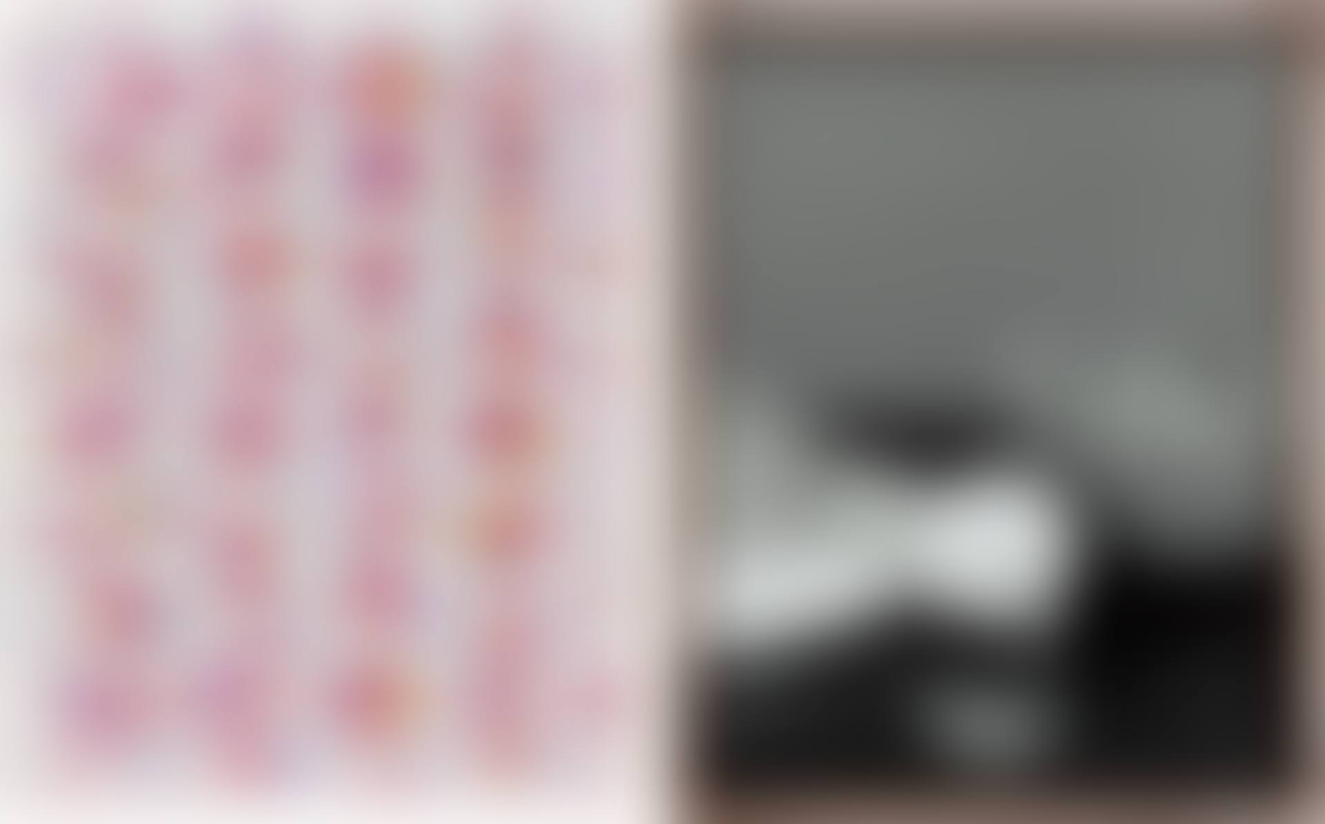 Two works: (i) Wall; (ii) Meat, Onion (preview)