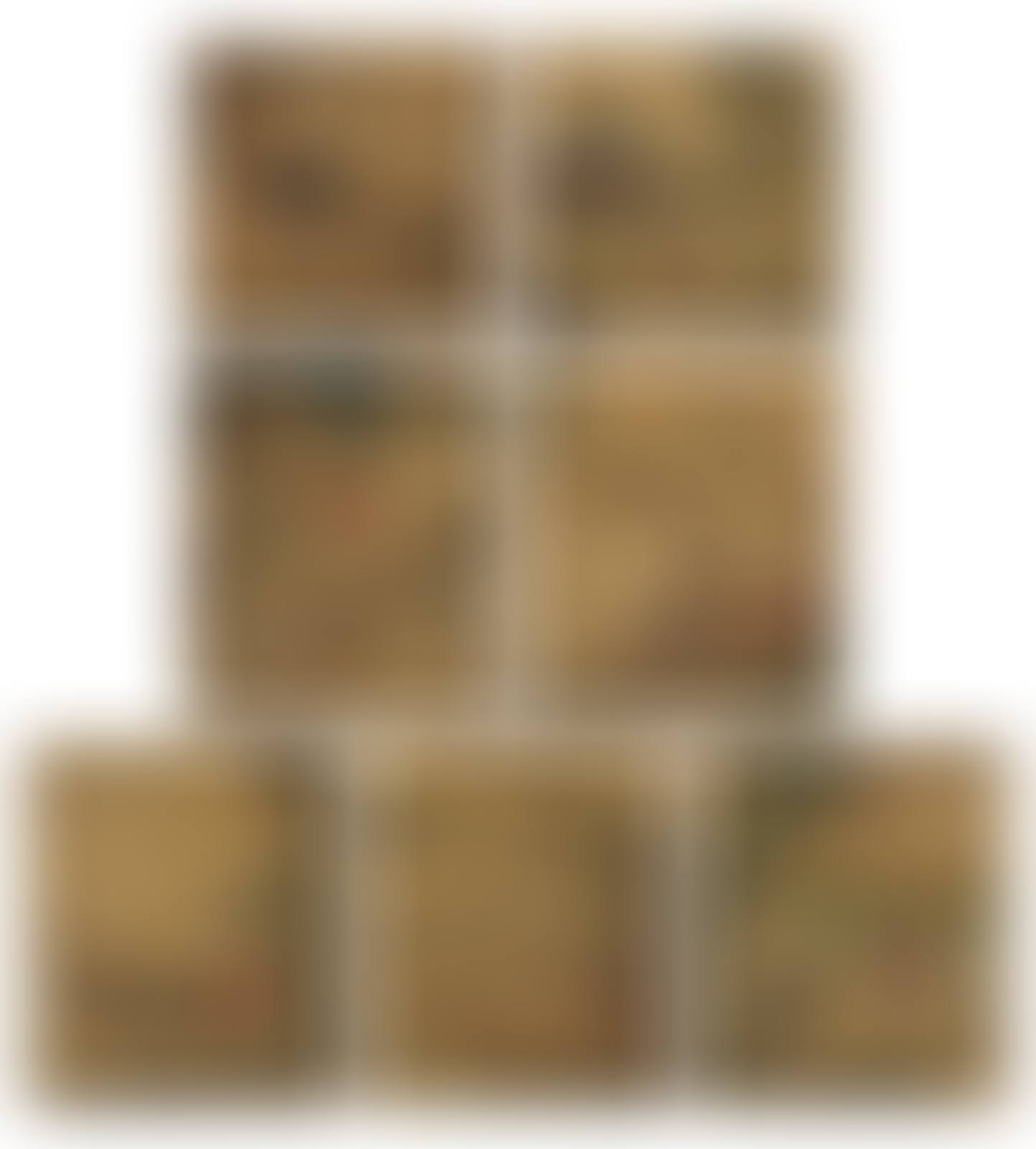 Album of Paintings (preview)