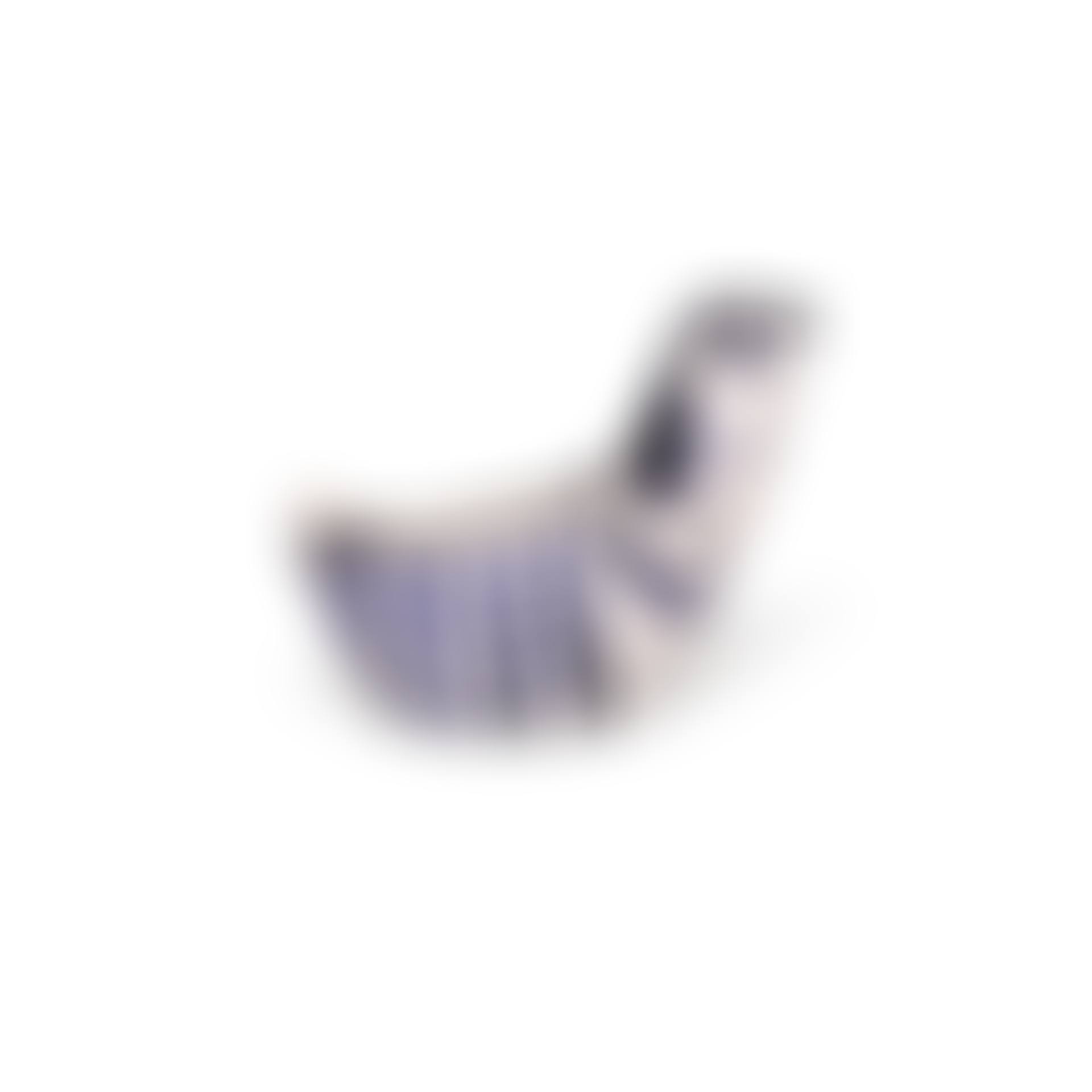 Sujet poule (A. R. 250) (preview)