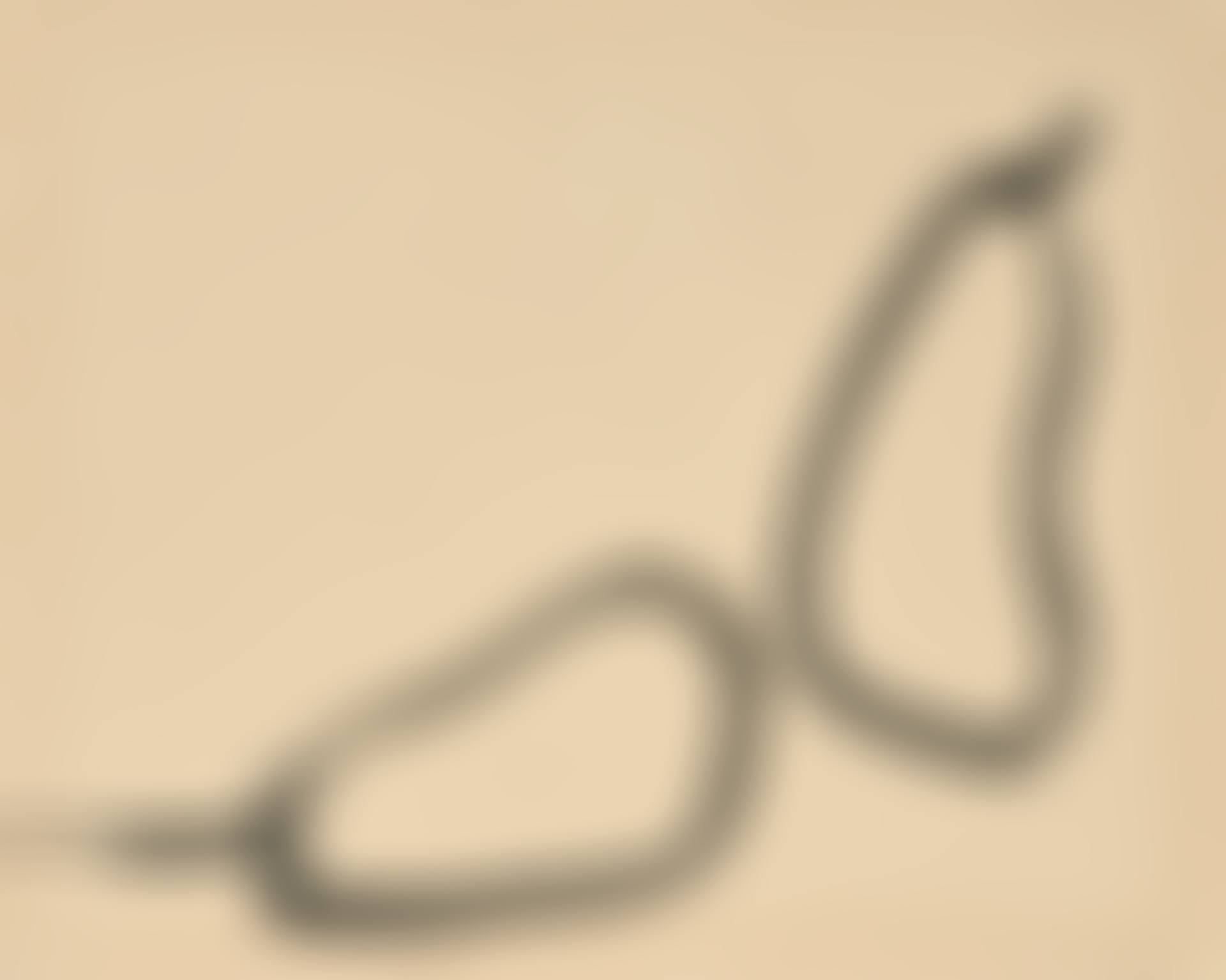 Poires (preview)