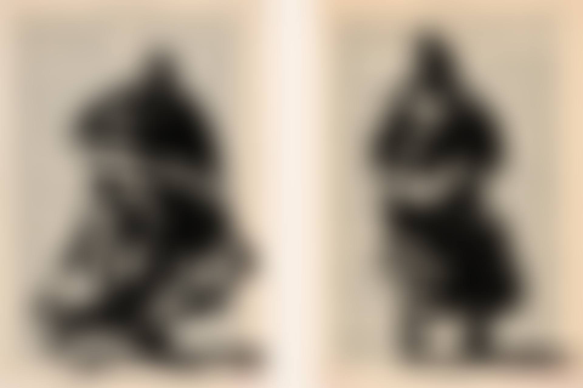Drawing for Sybil (Oxford University, Olympus) (preview)