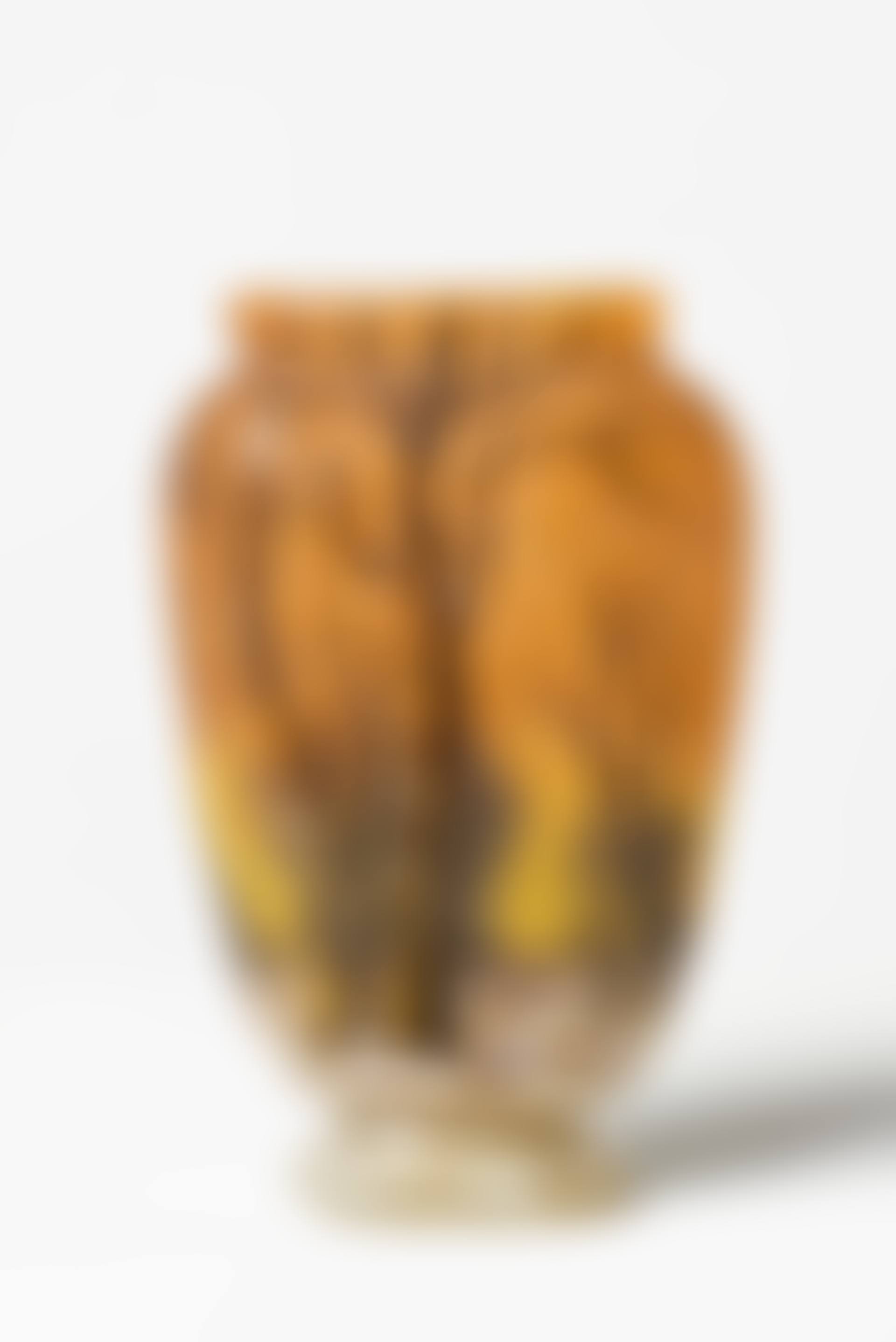 Vase en verre multicouche dégagé à l"acide (preview)