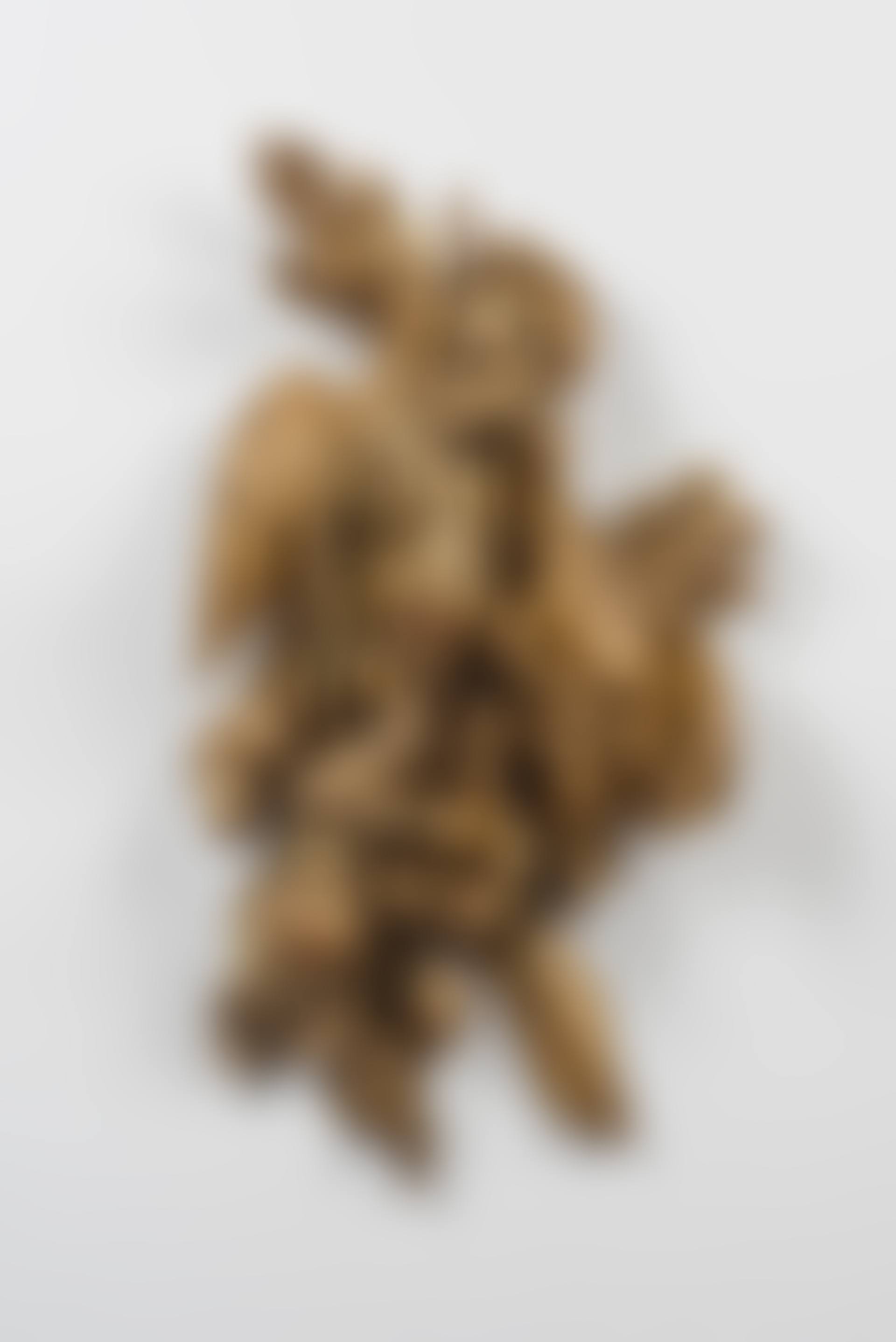 Trophée en bois doré (preview)