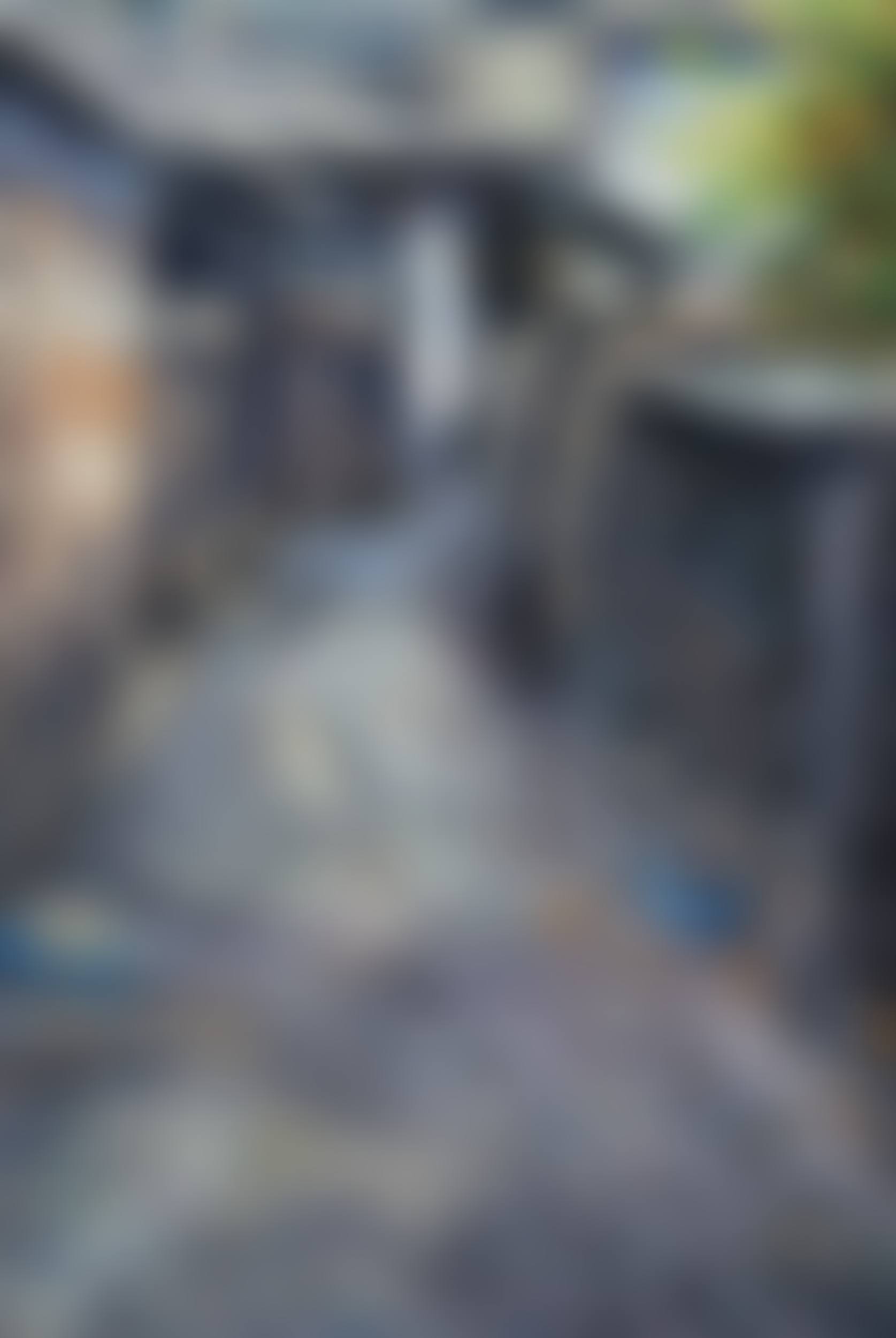 Korean Forsythia (preview)
