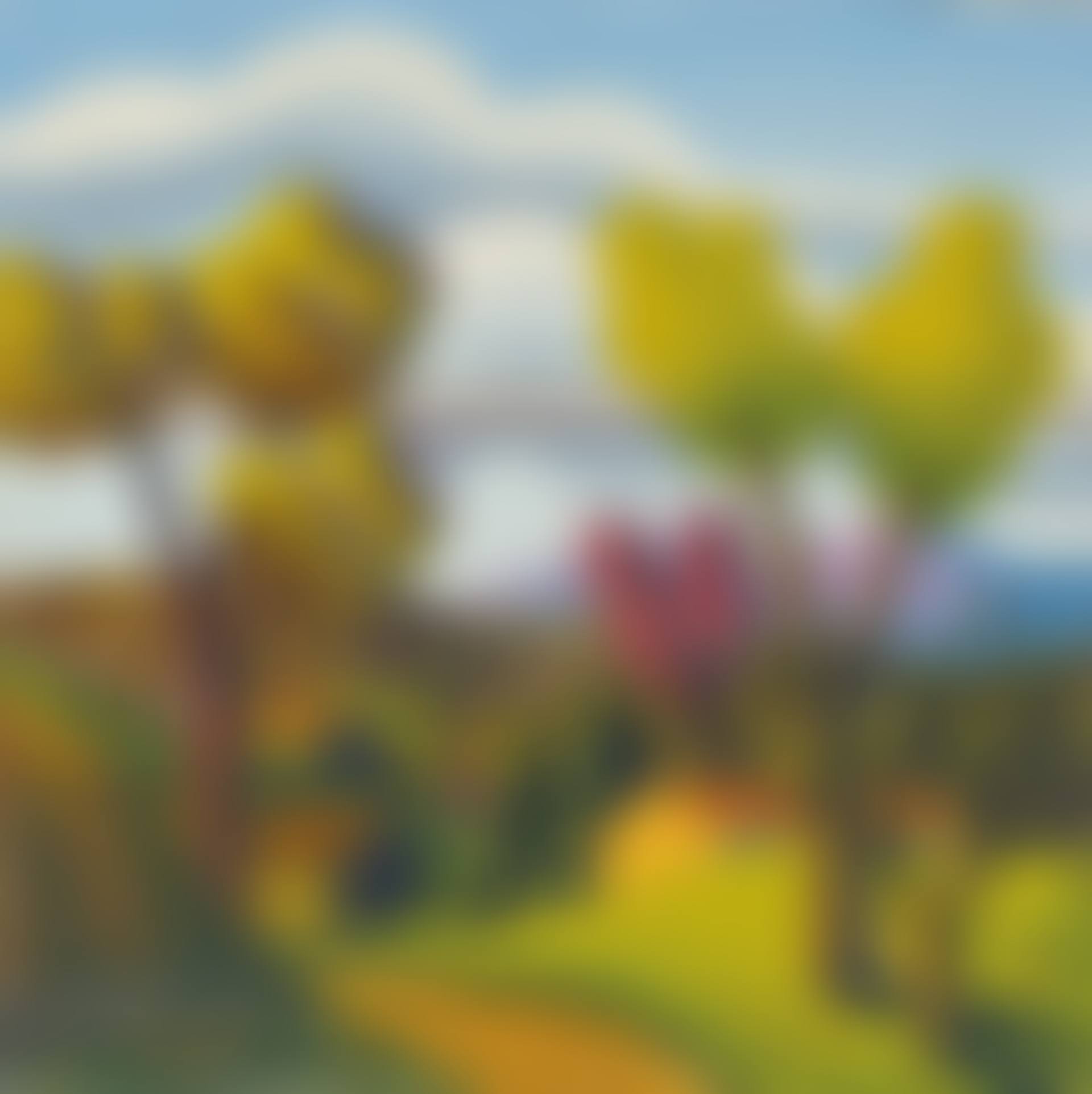 November (preview)
