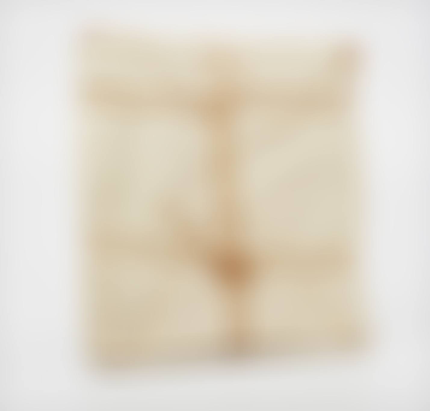 Wrapped Book (preview)