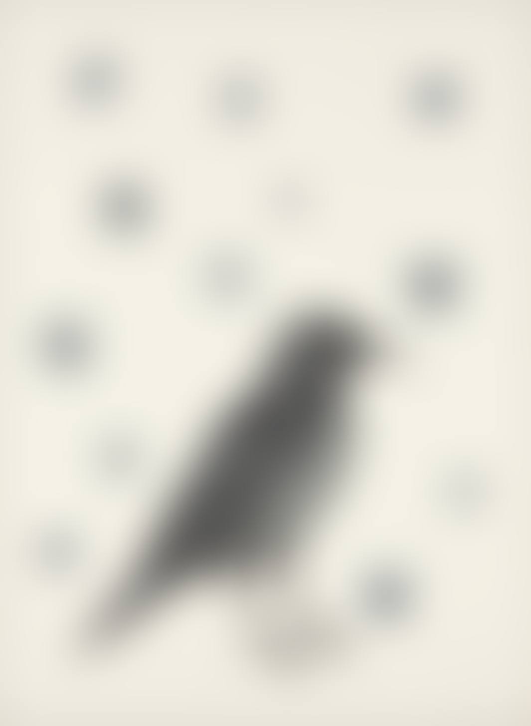Bird with Stars (preview)