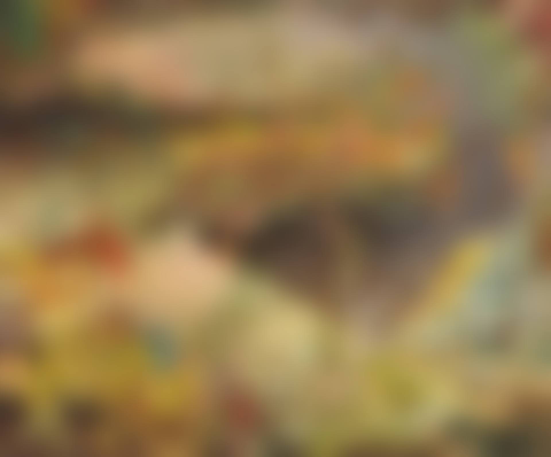 Der Jahresablauf (preview)