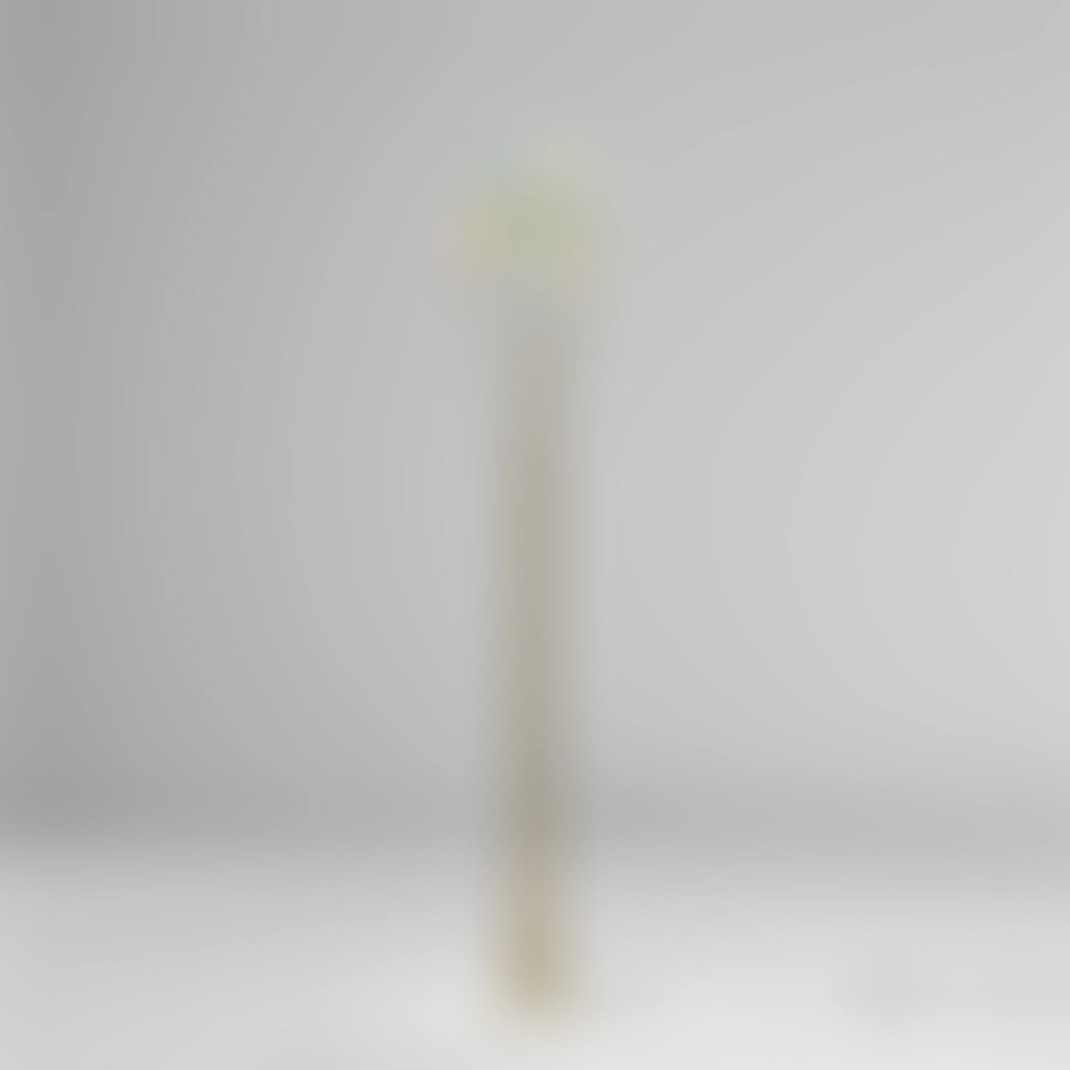 Rare floor lamp (preview)