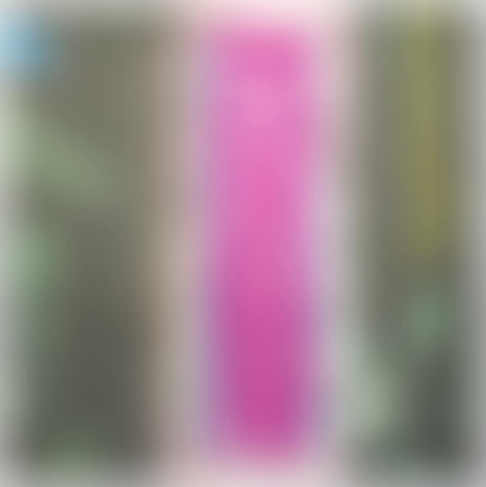Tree, from 2623 Third Street, Santa Monica (Coplan Hurowitz 112) (preview)