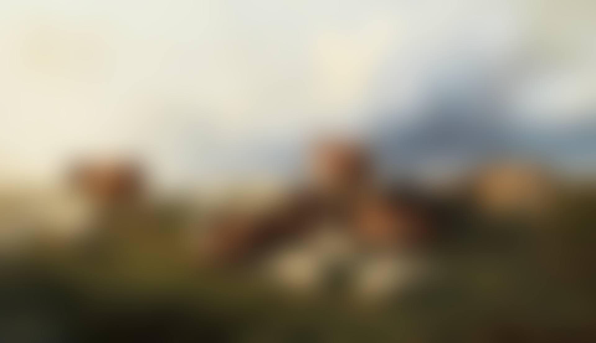Cattle and sheep on Canterbury meadows (preview)