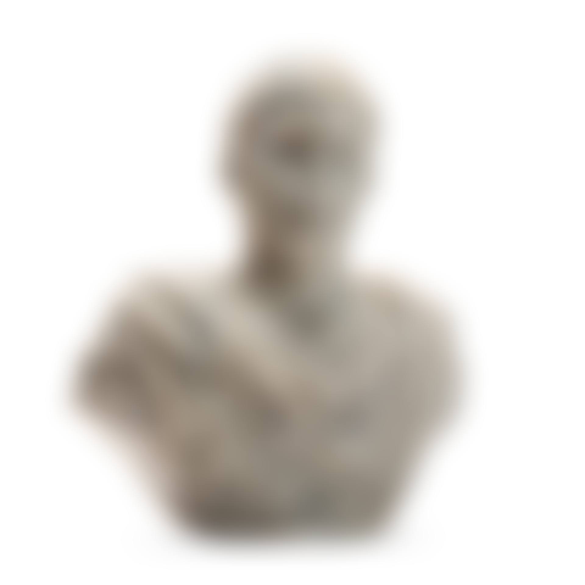 Bust of a youth (preview)
