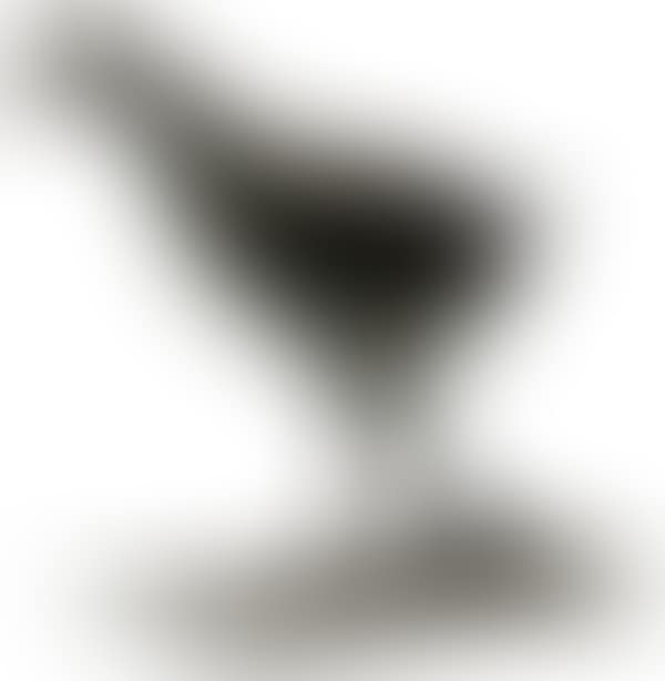 Moorhen (preview)