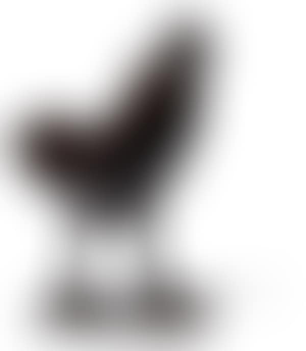 Rooster (preview)