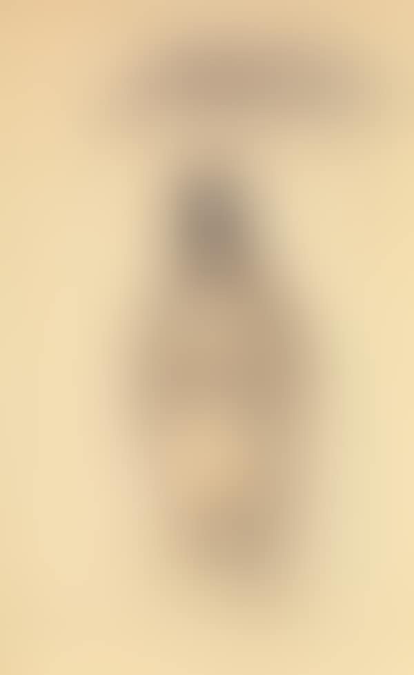 Buste d"une femme (preview)