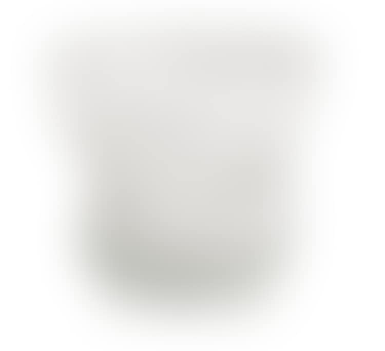 Grand vase; A large translucent vase (preview)