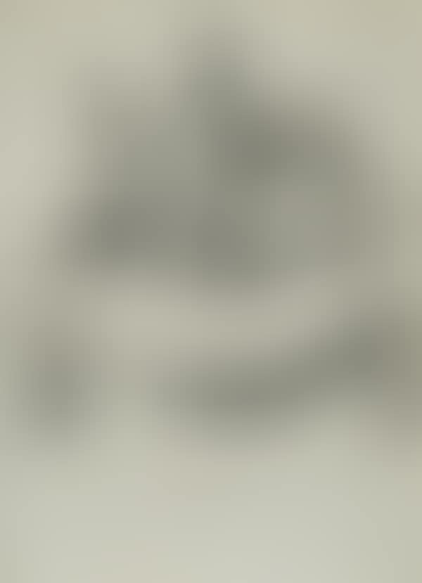 Study of Roman trophies (preview)