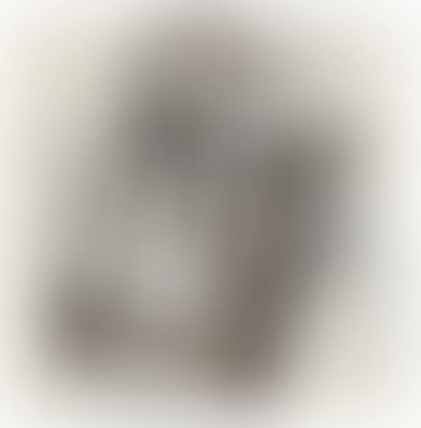 Nature morte (preview)