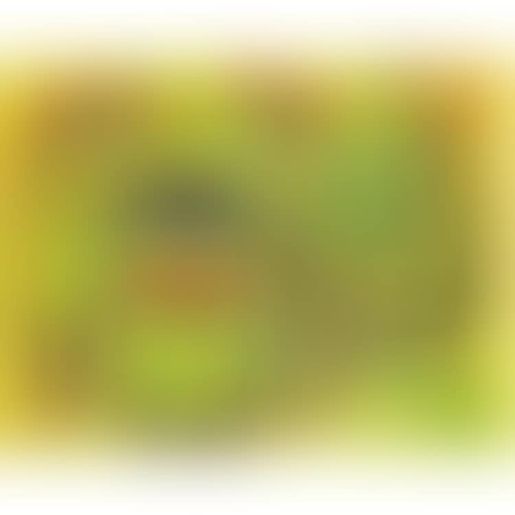 COMPOSITION; Composition (preview)