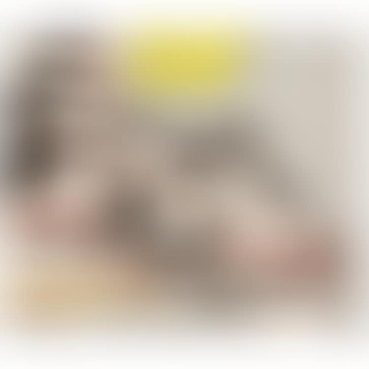 Whaam; WHAAM (preview)