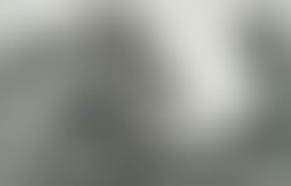 THE BOUVIER. (preview)