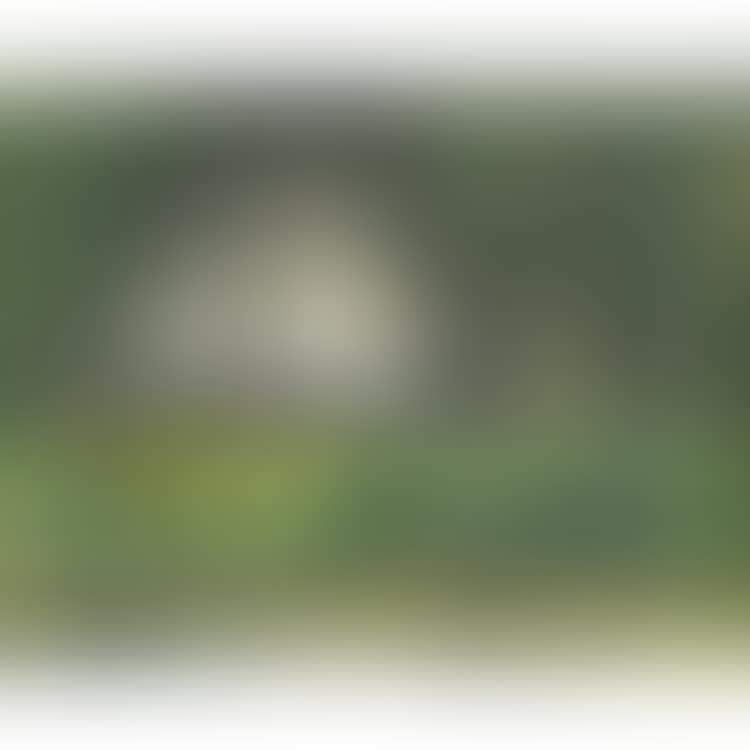 SOUS BOIS; SOUS BOIS (preview)