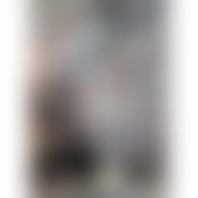 ENVIRONS DE DORDRECHT; ENVIRONS DE DORDRECHT (preview)