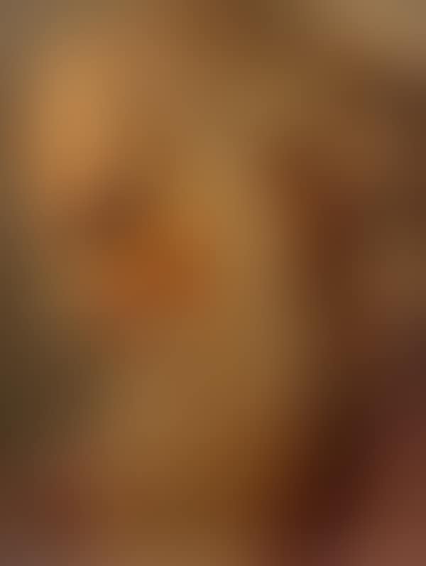 Head of a bearded man (preview)